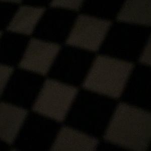 Meet your Posher, Wendy